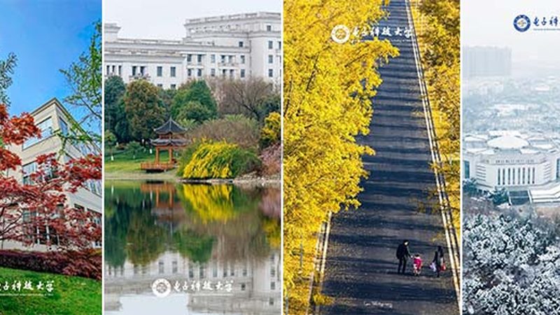 国产二极管批发市场：如何洞察趋势与选品**